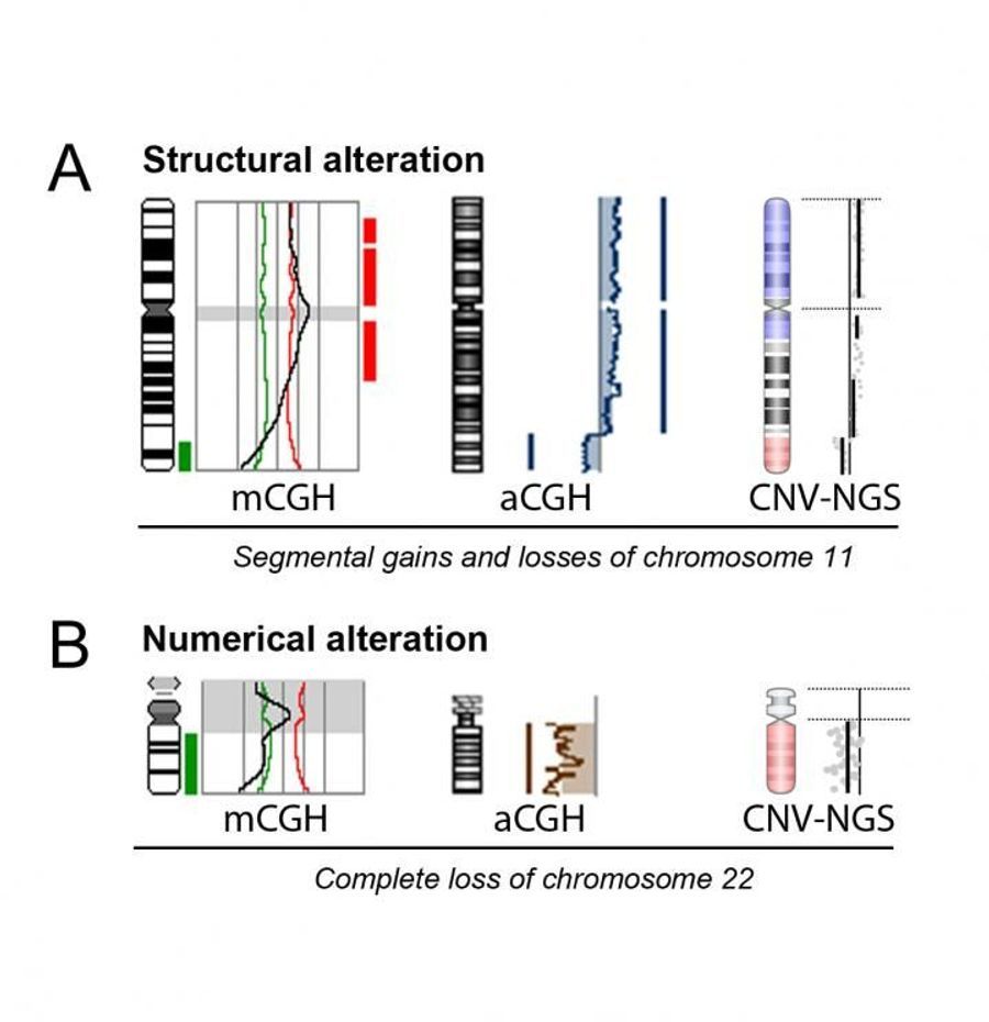 Double Factor Preimplantation Testing Now Possible Through