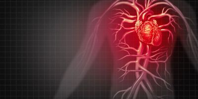 Heart Disease Illustration