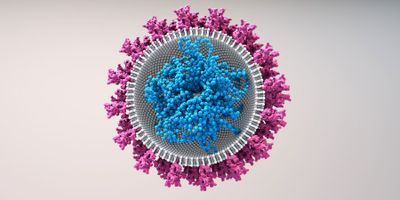 Illustration of sars-cov-2, which causes covid-19