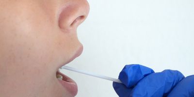 Person having their mouth swabed for a saliva test