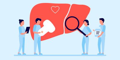 Vector graphic of medical professionals around a liver examining it
